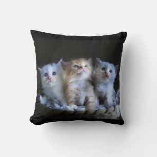 Personalised Pet Cushion