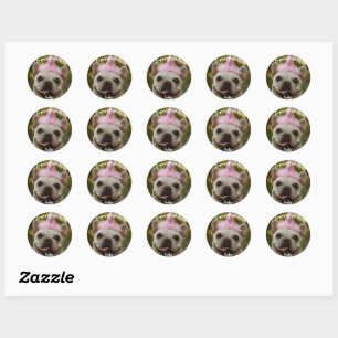 Personalised pet dog birthday Classic Round Sticker