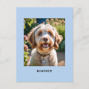 Personalised Pet Dog Cat Photo Name Light Blue Postcard