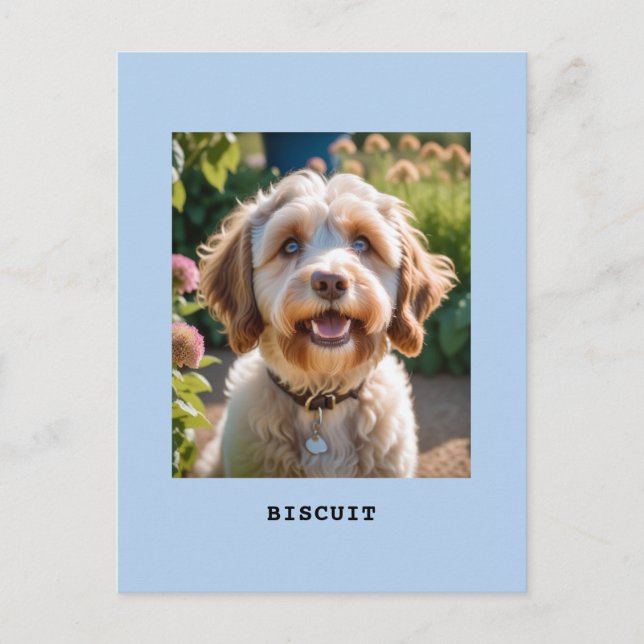 Personalised Pet Dog Cat Photo Name Light Blue Postcard (Front)