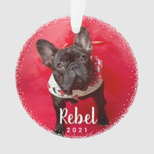 Personalised Pet Dog Holiday Photo Typography Ornament