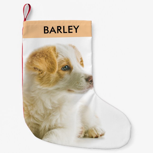 Personalised Pet Dog Photo Festive Holiday Cute  Small Christmas Stocking (Front)