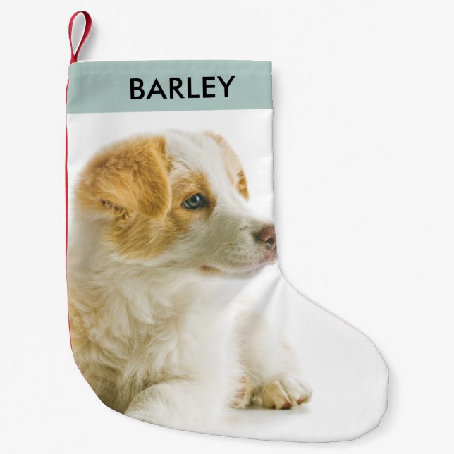 Personalised Pet Dog Photo Festive Holiday Cute  Small Christmas Stocking (Front)