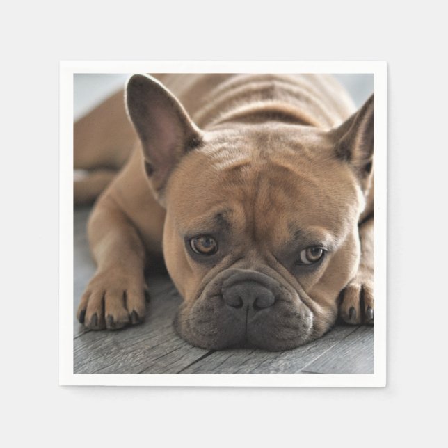 Personalised Pet Dog Photo Napkin (Front)