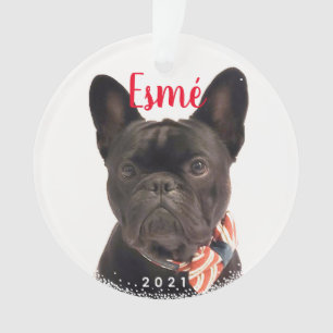 Personalised Pet Dog Puppy Holiday Photo Ornament