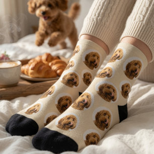 Personalised Pet Face Socks   Custom Dog Photo 