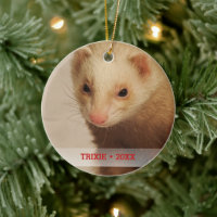 Personalised Pet Ferret Photo Name Christmas Tree