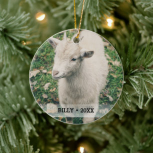 Personalised Pet Goat Photo Name Christmas Tree Ceramic Tree Decoration
