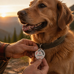 Personalised Pet ID Tag with Phone Number