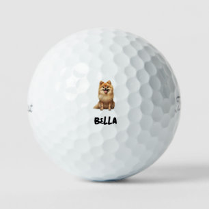 Personalised Pet Image Name Titleist Pro V1 II Golf Balls