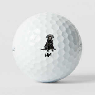Personalised Pet Image Name Titleist Pro V1 II Golf Balls