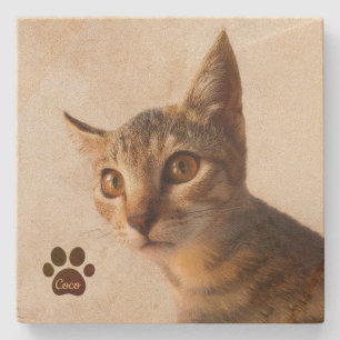 Personalised Pet Kitten Cat Dog Photo Template Stone Coaster