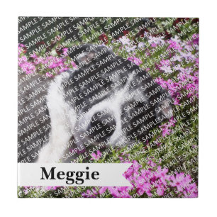 Personalised Pet Loss Keepsake (Add Frame or Box) Tile