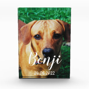 Personalised Pet Memorial Acrylic Photo Block