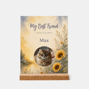Personalised Pet Memorial Acrylic Plaque Sign