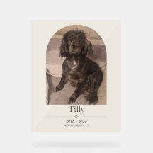 Personalised Pet Memorial Acrylic Sign | Dog & Cat