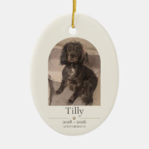 Personalised Pet Memorial Ornament | Dog & Cat