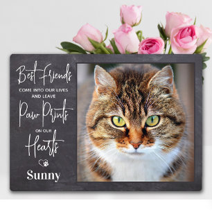 Personalised Pet Memorial Paw Prints Cat Photo  Plaque