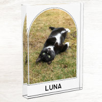 Personalised Pet Name Modern Arch