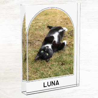 Personalised Pet Name Modern Arch Photo Block