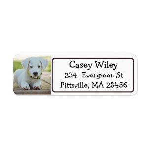 Personalised Pet or Dog Address Label