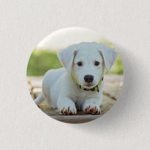 Personalised Pet Photo  3 Cm Round Badge