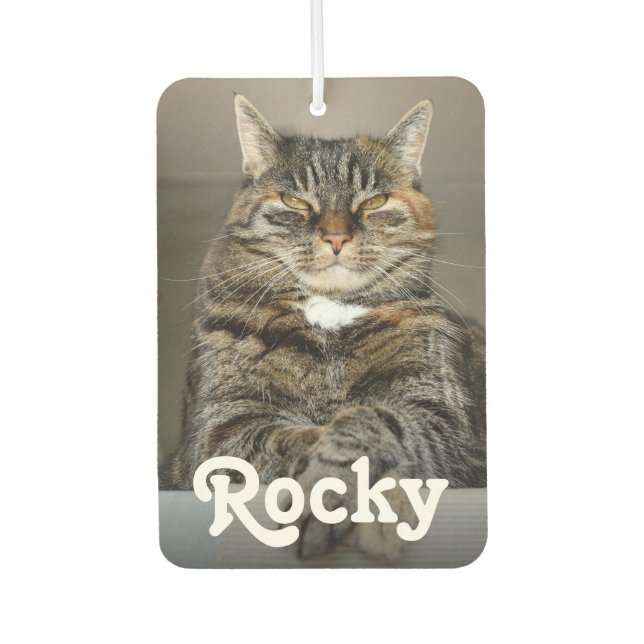 Personalised Pet Photo and Name Double-Sided Car Car Air Freshener (Front)