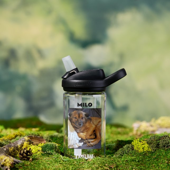 Personalised Pet Photo and Name    Water Bottle (Outdoor)