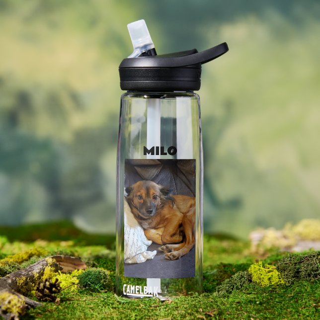 Personalised Pet Photo and Name  Water Bottle (Outdoor)