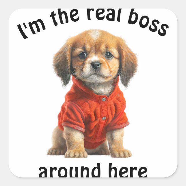 Personalised Pet Photo Boss Dog Square Sticker (Front)
