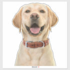Personalised Pet Photo Car Window Sticker