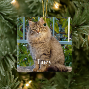Personalised Pet Photo Cat Lover And Name Ceramic Ornament
