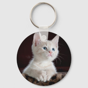 Personalised Pet Photo Cat Lover Keepsake Key Ring