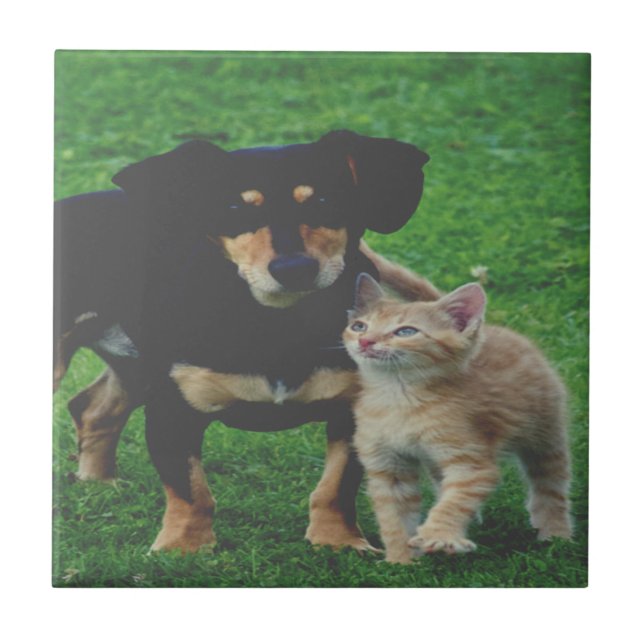 Personalised Pet Photo Ceramic Tile (Front)