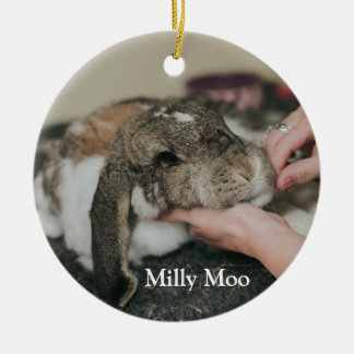  Personalised Pet Photo  Ceramic Tree Decoration