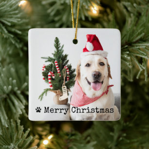 Personalised Pet Photo Christmas Ceramic Ornament
