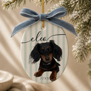 Personalised Pet Photo Christmas Ceramic Tree Decoration