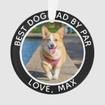 Personalised Pet Photo Christmas