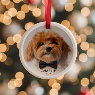 Personalised Pet Photo Christmas Ornament Keepsake