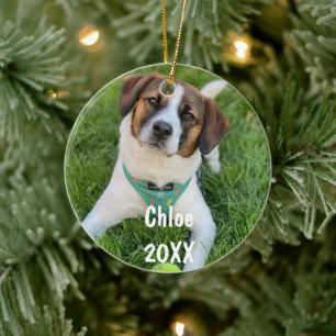 Personalised Pet Photo Christmas Tree Ornament