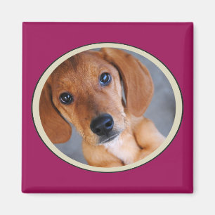 Personalised Pet Photo Dark Pink Frame Magnet