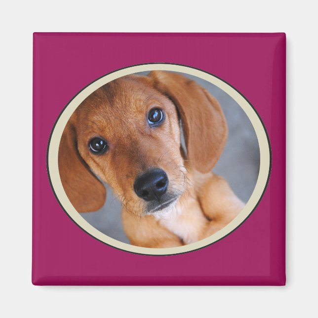 Personalised Pet Photo Dark Pink Frame Magnet (Front)