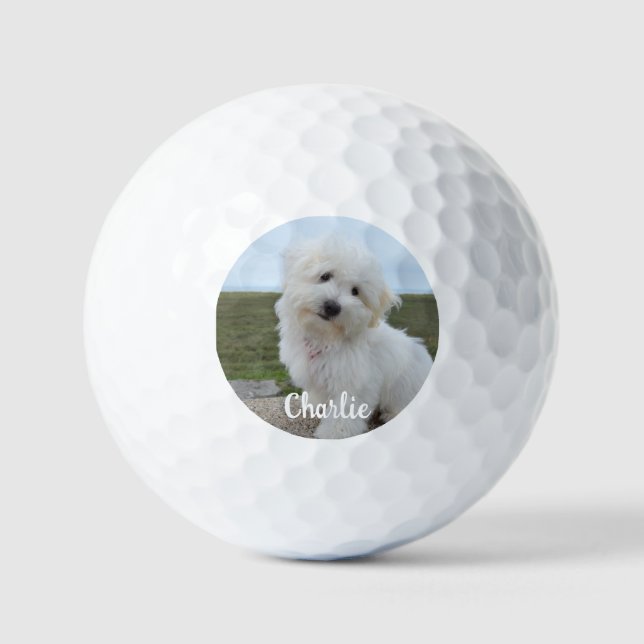 Personalised Pet Photo Dog Lover Keepsake Golf Balls (Front)