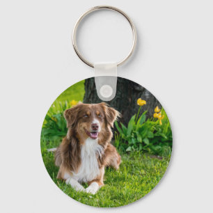 Personalised Pet Photo Dog Lover Keepsake Key Ring