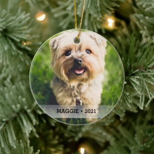 Personalised Pet Photo Double-sided Christmas Tree Ceramic Tree Decoration