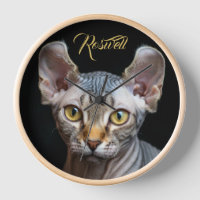 Personalised Pet Photo Elf Sphynx Cat 