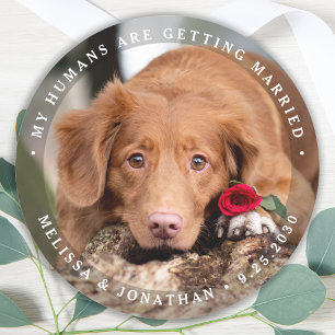 Personalised Pet Photo Engagement Dog Wedding Classic Round Sticker