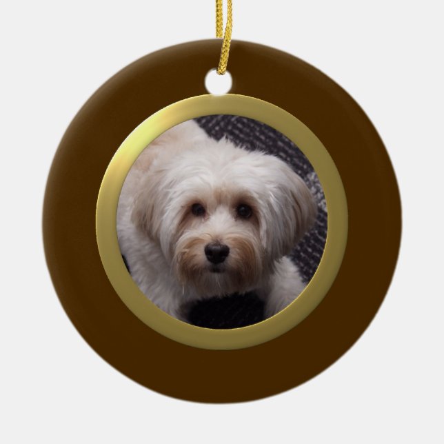 Personalised Pet Photo Frame (Brown/Gold) Ceramic Tree Decoration (Front)