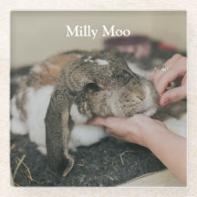 Personalised Pet Photo