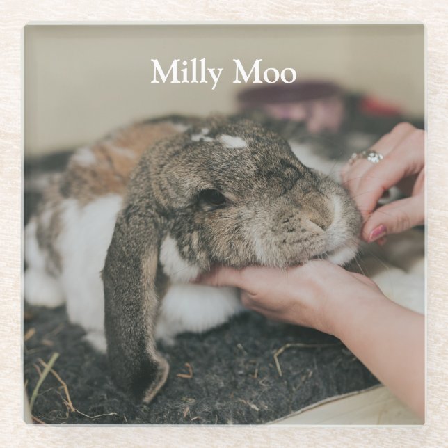  Personalised Pet Photo  Glass Coaster (Front)